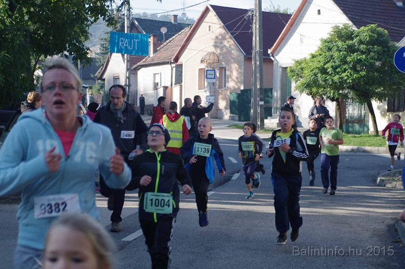 torokbalint_kerekdombfutas_2015_141.jpg