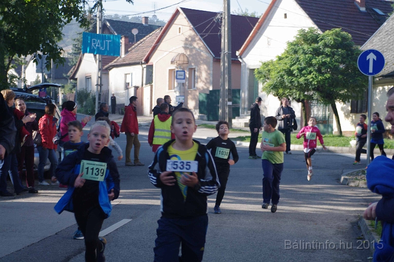 torokbalint_kerekdombfutas_2015_142.jpg