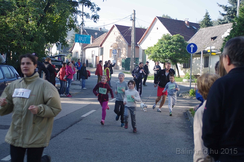 torokbalint_kerekdombfutas_2015_148.jpg
