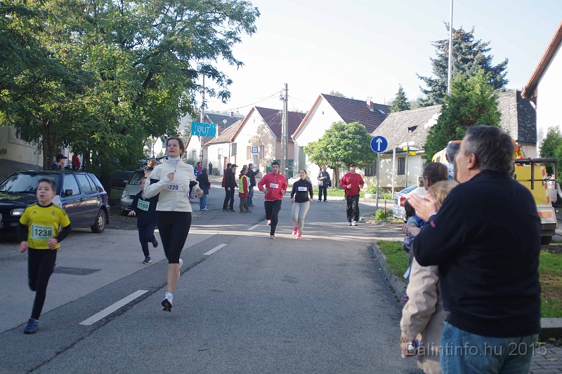 torokbalint_kerekdombfutas_2015_153.jpg