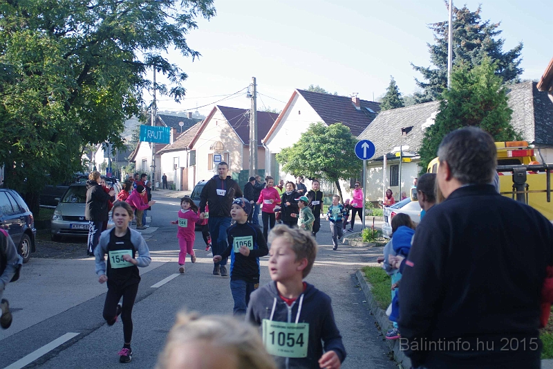 torokbalint_kerekdombfutas_2015_168.jpg