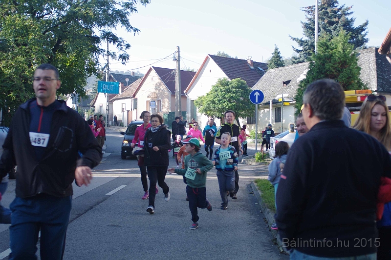 torokbalint_kerekdombfutas_2015_169.jpg