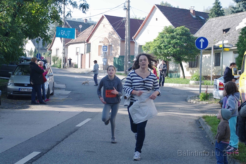 torokbalint_kerekdombfutas_2015_231.jpg