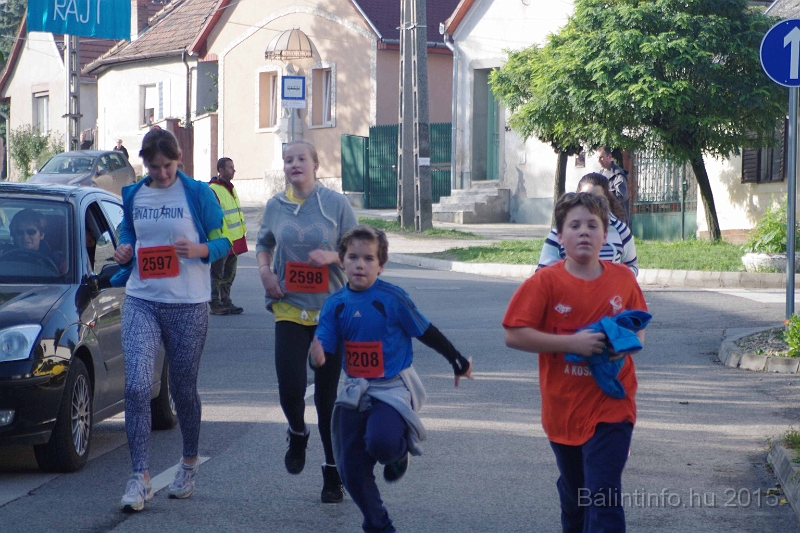 torokbalint_kerekdombfutas_2015_242.jpg