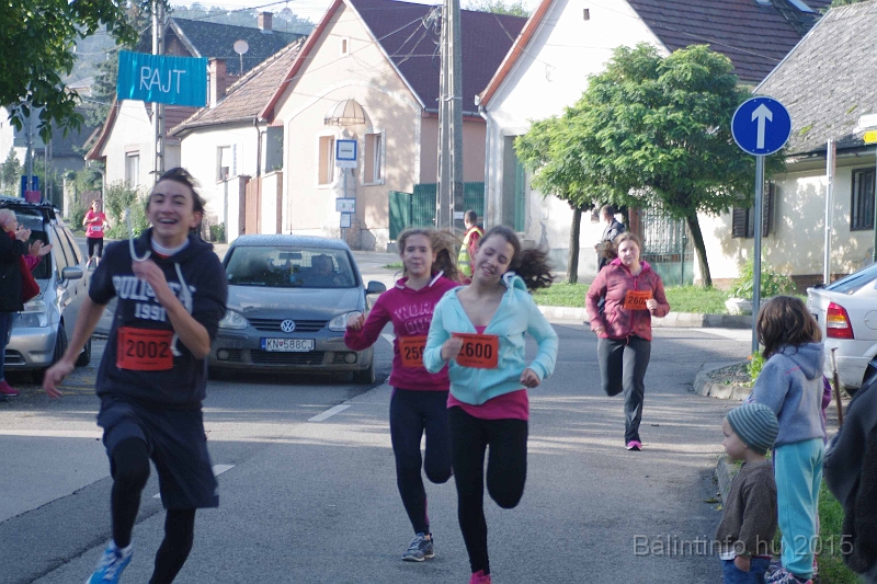 torokbalint_kerekdombfutas_2015_245.jpg