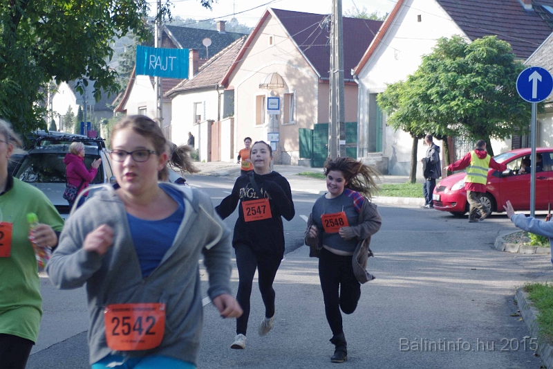 torokbalint_kerekdombfutas_2015_248.jpg