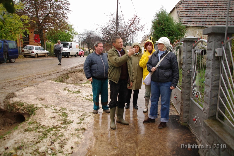kolontar_adomany_2010_004.jpg