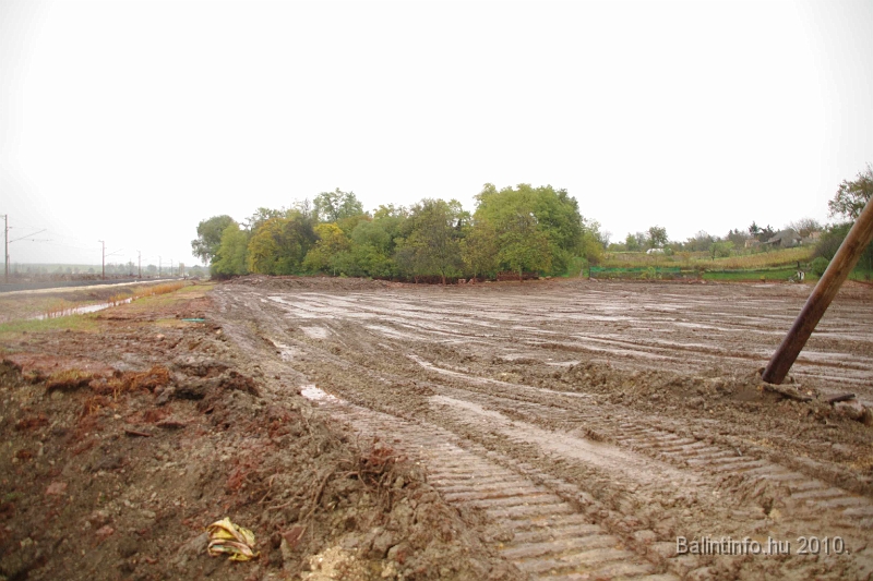 kolontar_adomany_2010_040.jpg