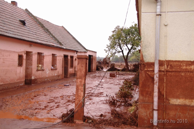 kolontar_adomany_2010_057.jpg
