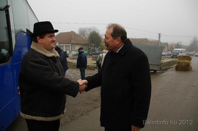 nagytarkany_torokbalint_martonnap_2012_001.jpg