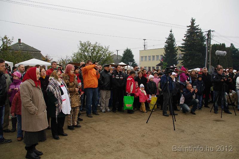 nagytarkany_torokbalint_martonnap_2012_039.jpg