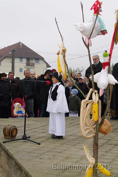 nagytarkany_torokbalint_martonnap_2012_041.jpg