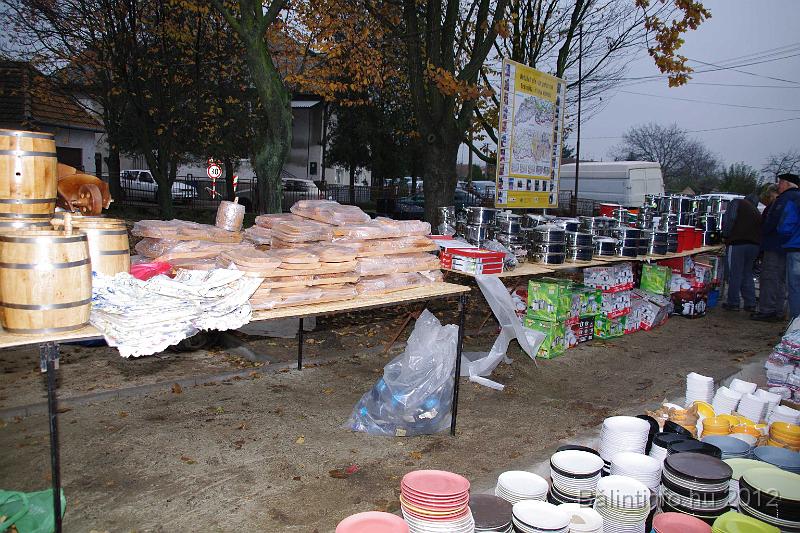nagytarkany_torokbalint_martonnap_2012_106.jpg