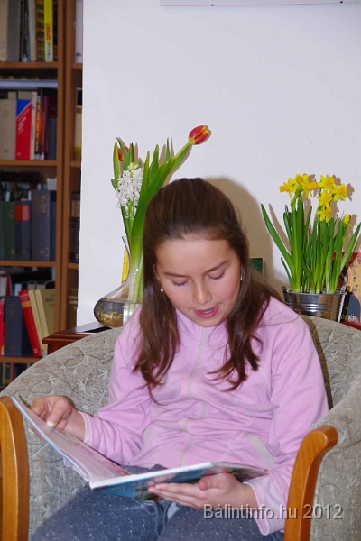 olvasas_napja_torokbalint_2012_004.jpg