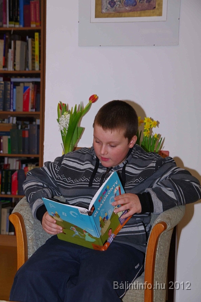 olvasas_napja_torokbalint_2012_021.jpg