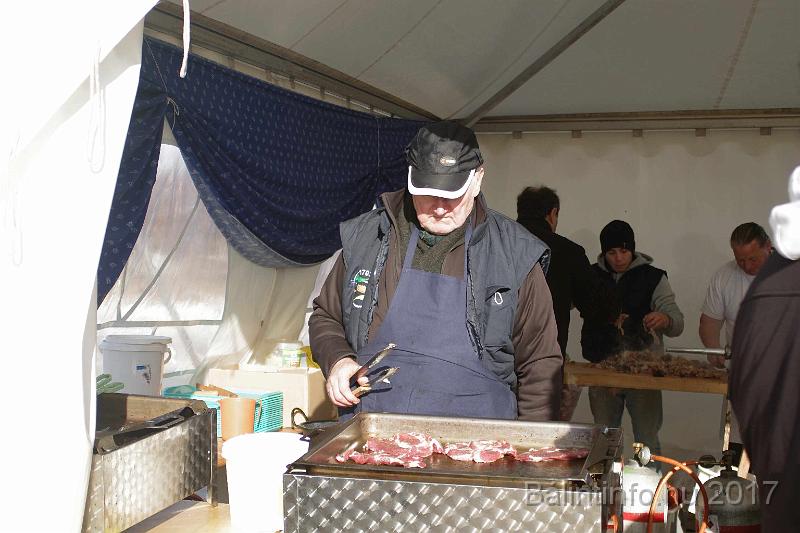 torokbalint_sautanz_fesztival_budakeszi_2017_011.JPG