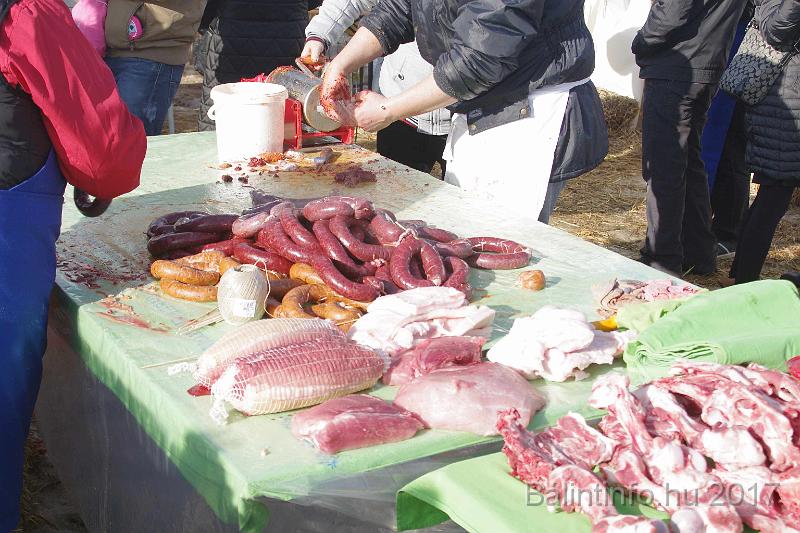 torokbalint_sautanz_fesztival_budakeszi_2017_031.JPG