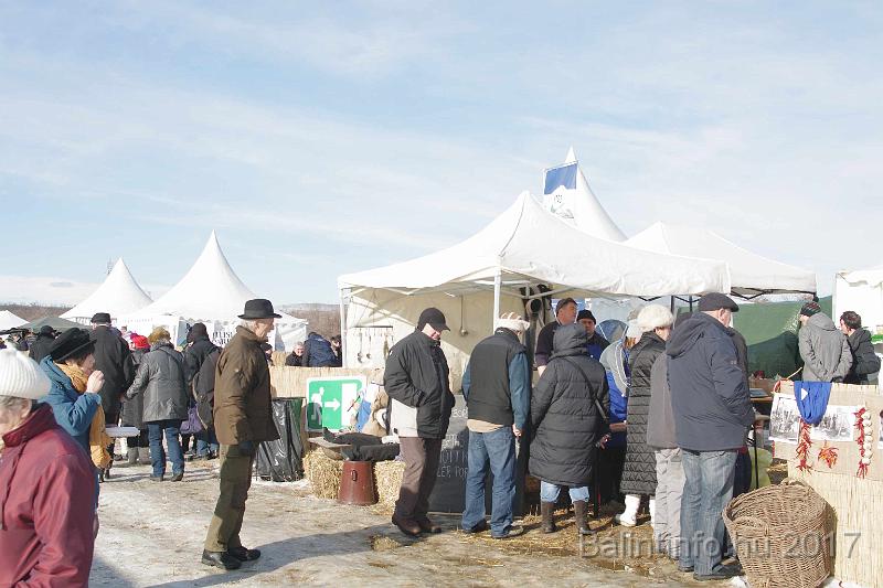 torokbalint_sautanz_fesztival_budakeszi_2017_035.JPG