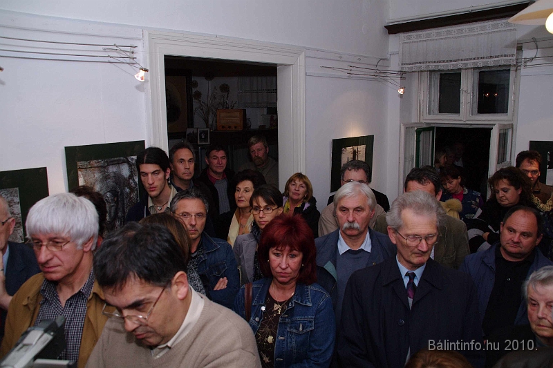 solymosipeter_fotokialitas_2010_13_.jpg