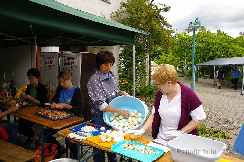 stadtfest-sussen_2012_0059.jpg