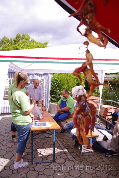 stadtfest-sussen_2012_0092.jpg