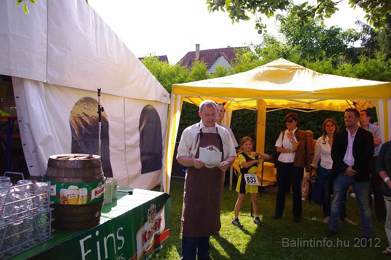 stadtfest-sussen_2012_0200.jpg