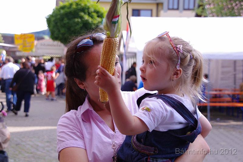 stadtfest-sussen_2012_0214.jpg