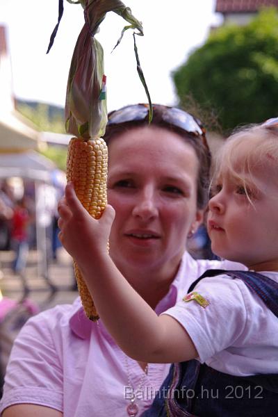 stadtfest-sussen_2012_0215.jpg