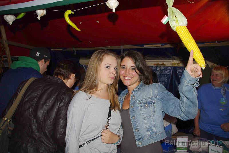 stadtfest-sussen_2012_0238.jpg