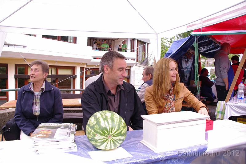 stadtfest-sussen_2012_0255.jpg