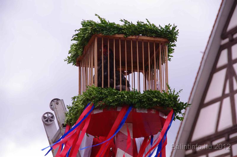 stadtfest-sussen_2012_0274.jpg