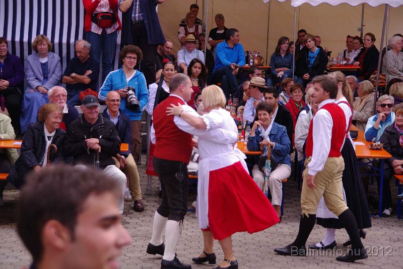 stadtfest-sussen_2012_0299.jpg