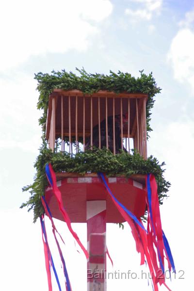 stadtfest-sussen_2012_0316.jpg