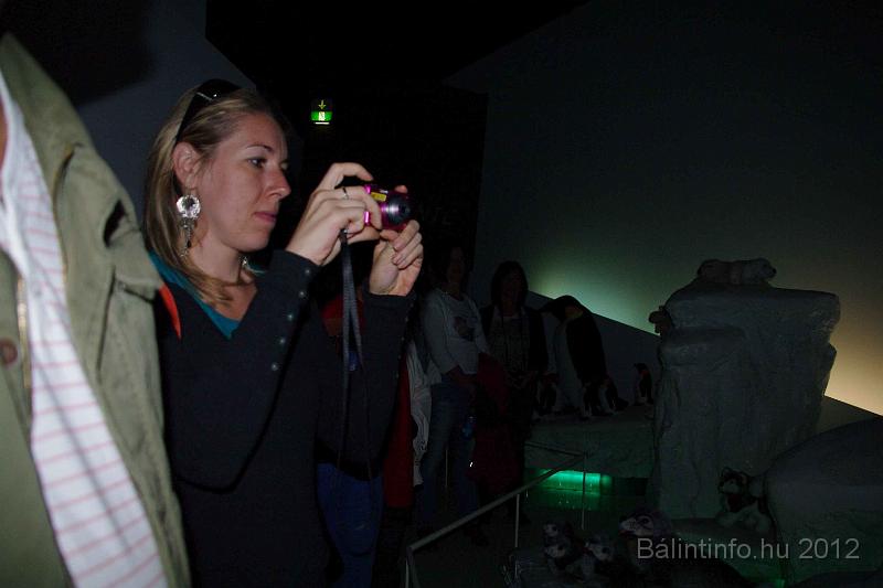 stadtfest-sussen_2012_0416.jpg