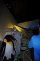 stadtfest-sussen_2012_0415
