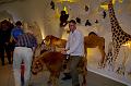 stadtfest-sussen_2012_0428