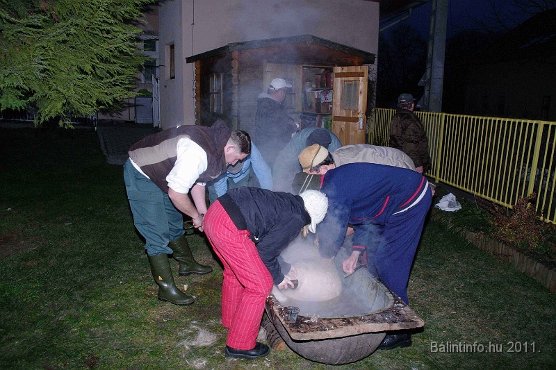 svab_disznovagas_2011_0002.jpg