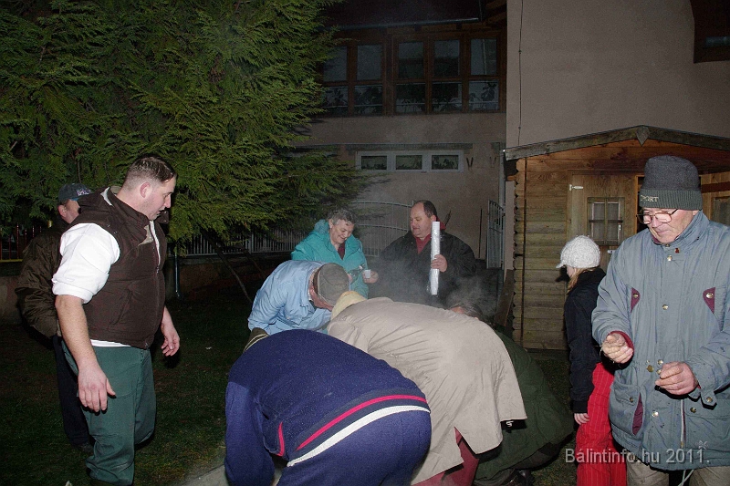 svab_disznovagas_2011_0005.jpg