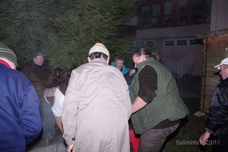 svab_disznovagas_2011_0006.jpg