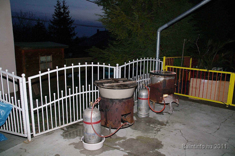svab_disznovagas_2011_0012.jpg