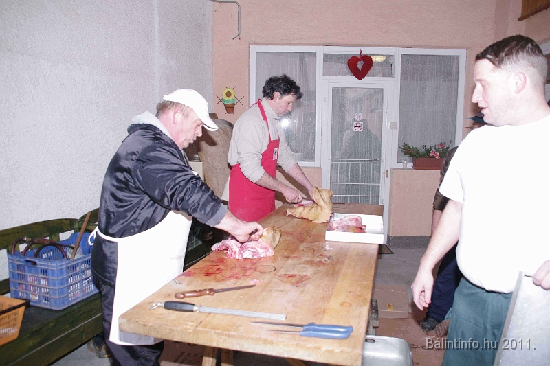svab_disznovagas_2011_0028.jpg