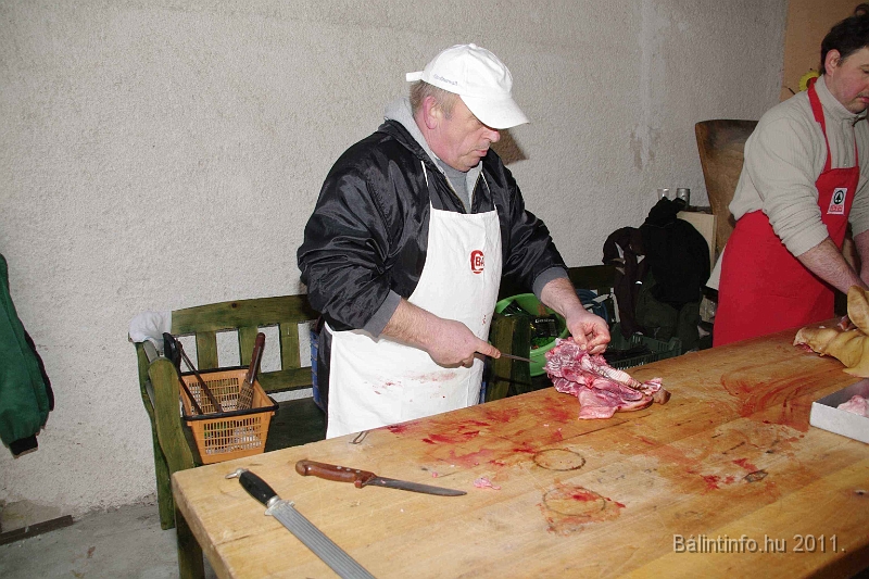 svab_disznovagas_2011_0030.jpg