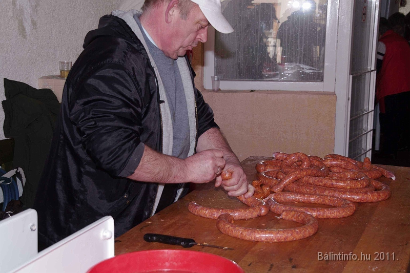 svab_disznovagas_2011_0039.jpg