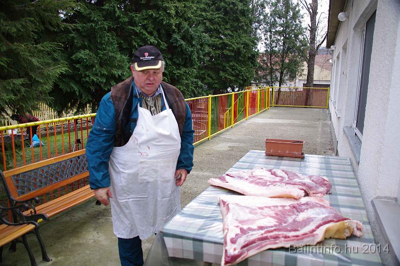 svab_disznovagas_torokbalint_2014_017.jpg