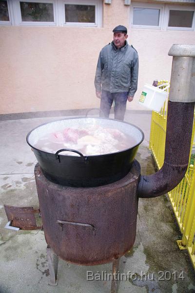 svab_disznovagas_torokbalint_2014_018.jpg