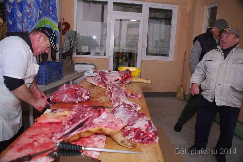svab_disznovagas_torokbalint_2014_021.jpg