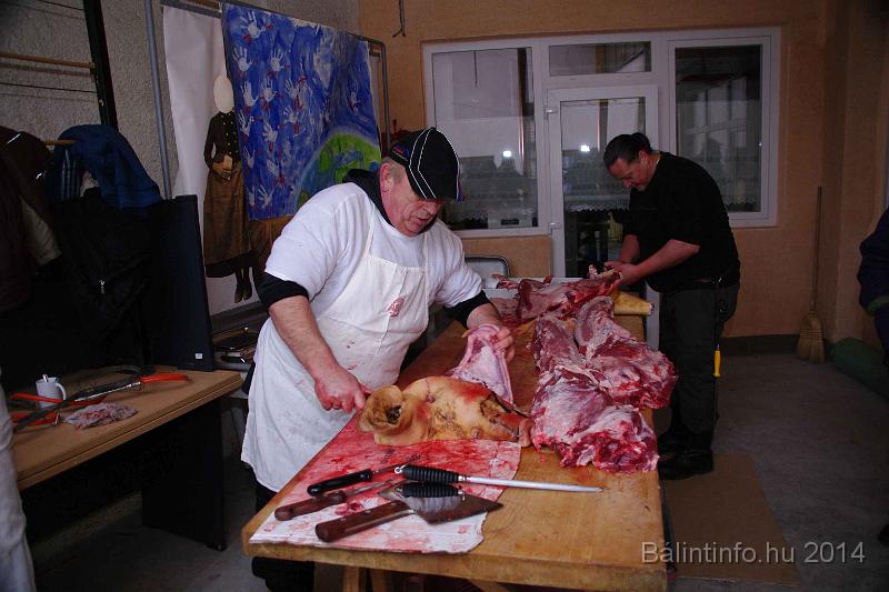 svab_disznovagas_torokbalint_2014_027.jpg