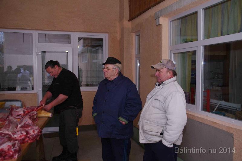 svab_disznovagas_torokbalint_2014_028.jpg