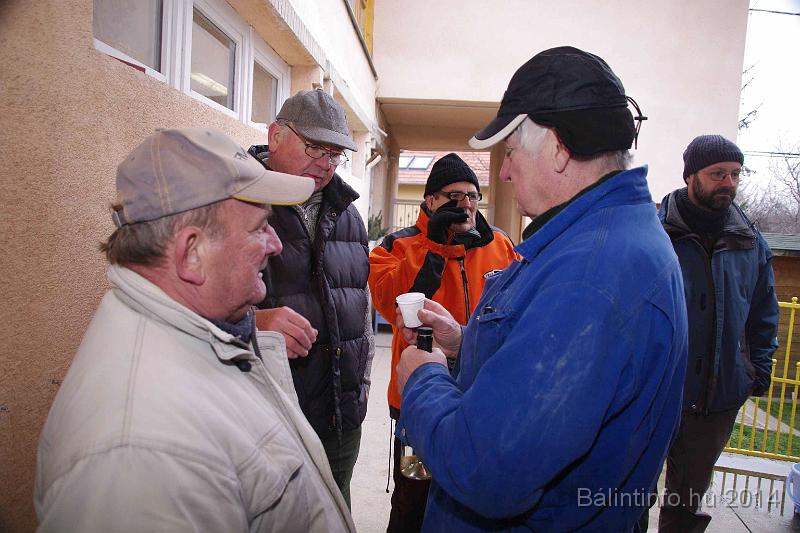 svab_disznovagas_torokbalint_2014_031.jpg