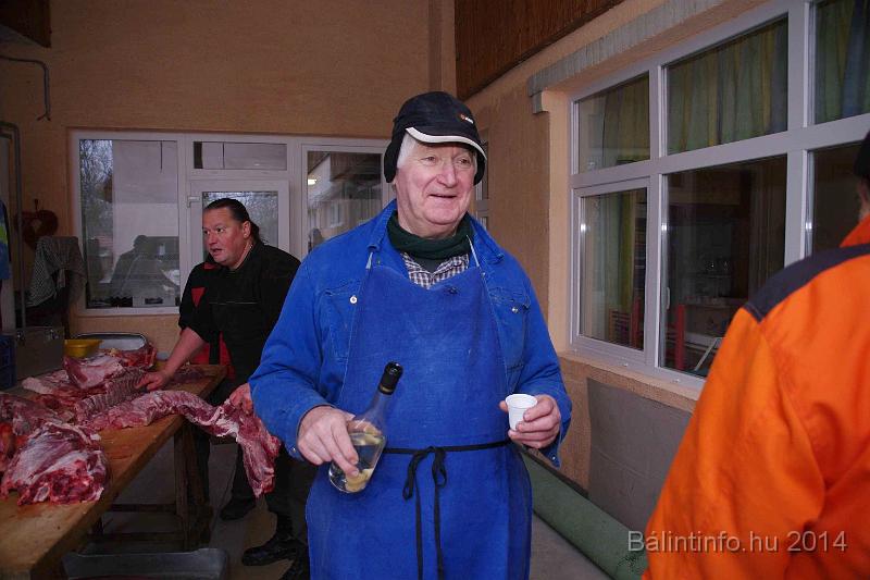 svab_disznovagas_torokbalint_2014_032.jpg